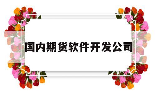 国内期货软件开发公司(期货交易软件开发公司)