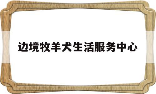 边境牧羊犬生活服务中心(边境牧羊犬专卖店)