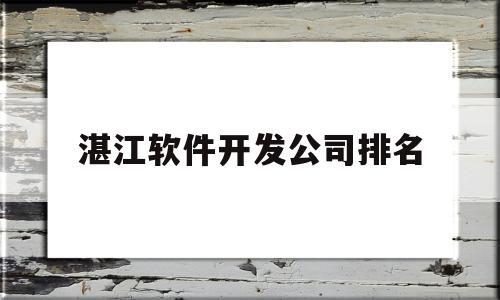 湛江软件开发公司排名(湛江的企业)