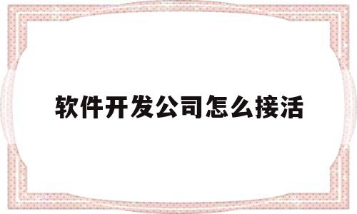 软件开发公司怎么接活(软件开发公司怎么接活赚钱)