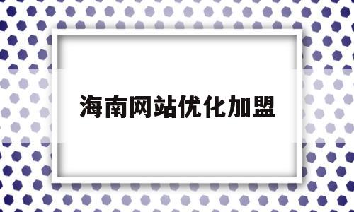 海南网站优化加盟(海南网站网络推广)