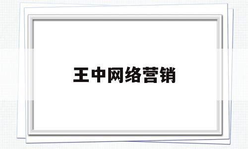 王中网络营销(王中网络营销案例分析)