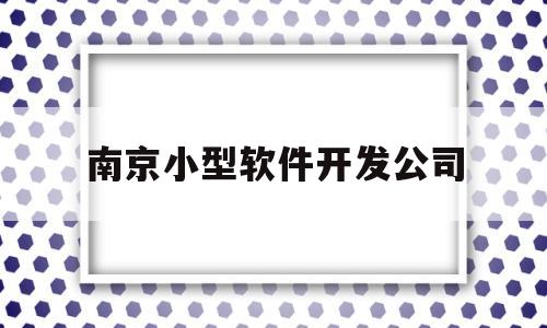 南京小型软件开发公司(南京小型软件开发公司排名)