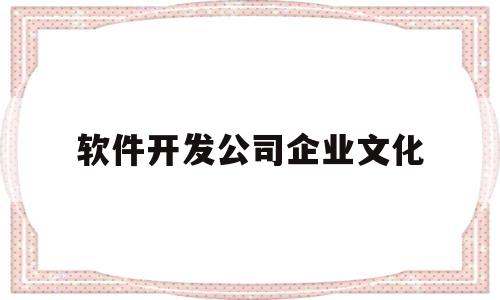 软件开发公司企业文化(软件公司的企业文化)