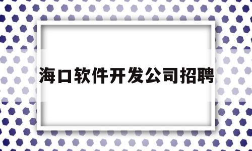 海口软件开发公司招聘(海南海口软件开发公司)