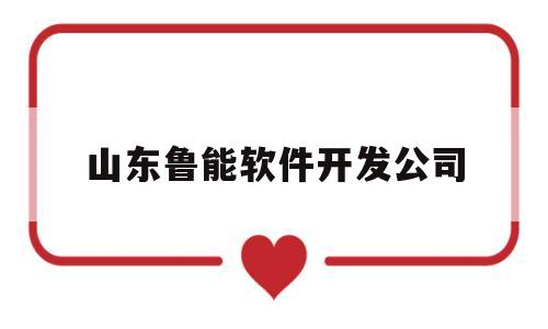 山东鲁能软件开发公司(鲁能软件公司是国企吗)