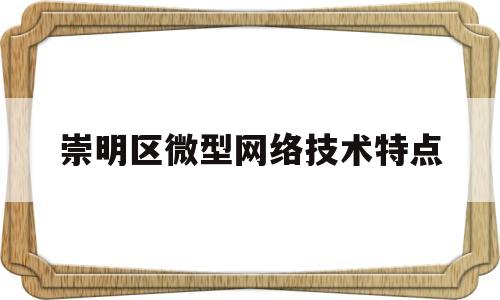 崇明区微型网络技术特点(微型网络特有的设备)