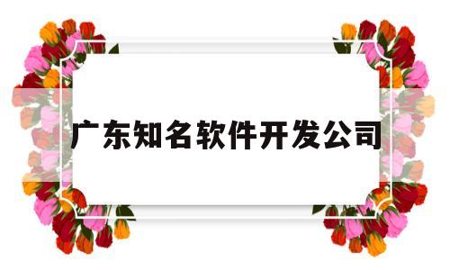 广东知名软件开发公司(广东软件公司招聘)