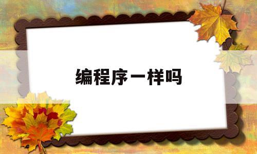 编程序一样吗(编程区别)