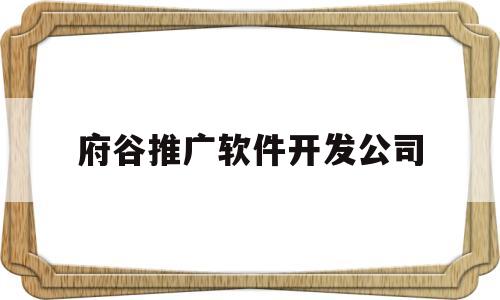 府谷推广软件开发公司(想做软件开发找哪家公司)