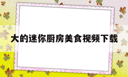 大的迷你厨房美食视频下载(大的迷你厨房美食视频下载大全)