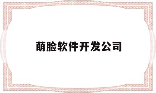 萌脸软件开发公司(沈阳软件开发公司排名)