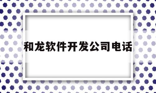 和龙软件开发公司电话(和龙信息)